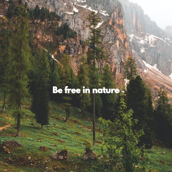 Be free in nature - Descansar Musica