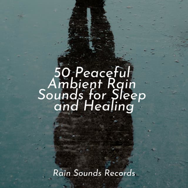 50 Peaceful Ambient Rain Sounds for Sleep and Healing - Sounds of Nature Relaxation