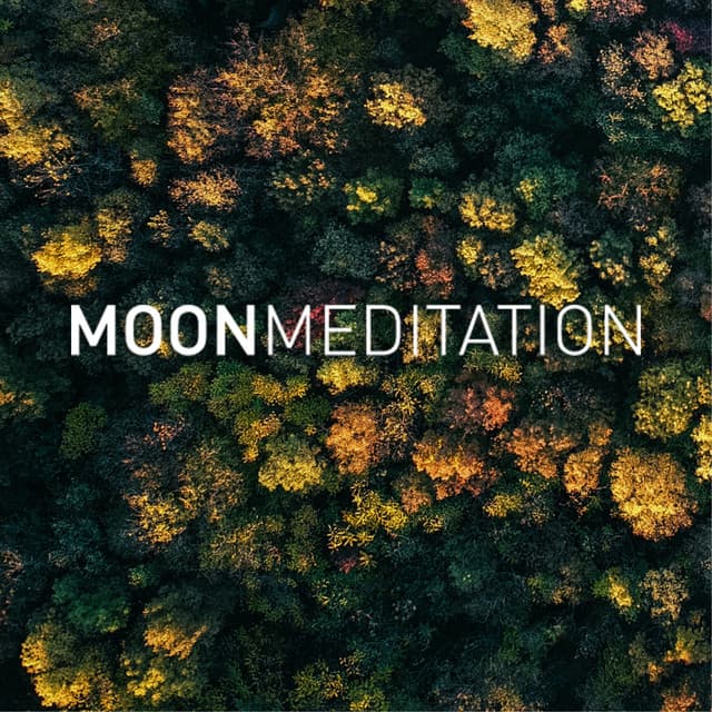 Fale medytacji - Moon Tunes