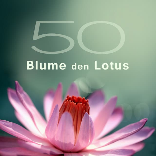 50 Blume den Lotus - Musik für Entspannung, Meditation, Yoga & Spa und Massage, Moment für Sie - Tiefenentspannung Academy
