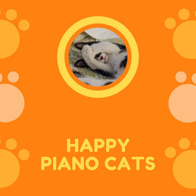 Happy Piano Cats - Cat Music