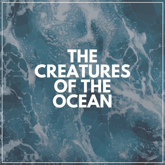 The Creatures of the Ocean - Ocean Sounds