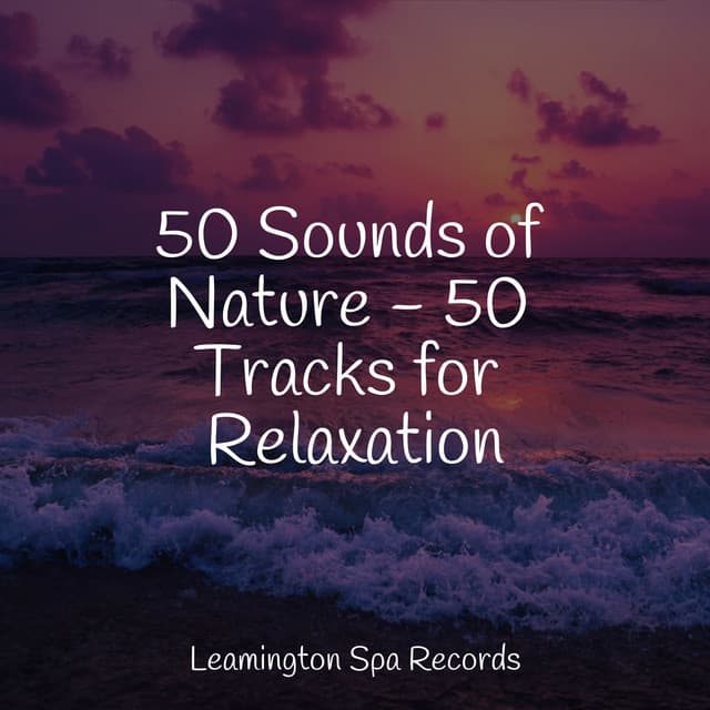 50 Sounds of Nature - 50 Tracks for Relaxation - Sleep Meditation Dream Catcher