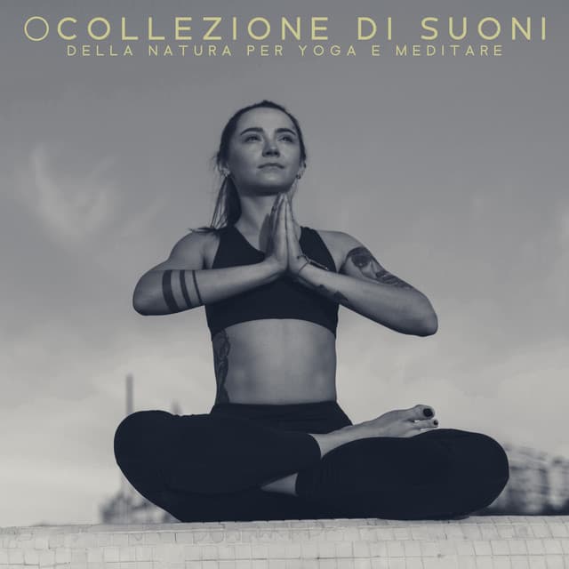 Collezione di Suoni della Natura per Yoga e Meditare - Rilassante musica profonda