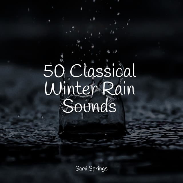 50 Classical Winter Rain Sounds - meditacou musica ambiente
