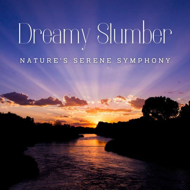 Stream's Meditative Journey: Nature's Serene Symphony - Stereo Creek