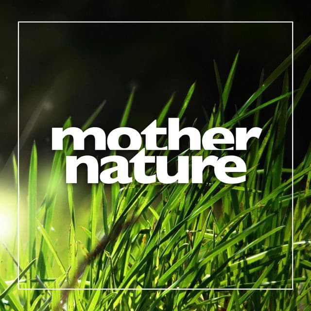 Mother Nature - Sounds Of Nature