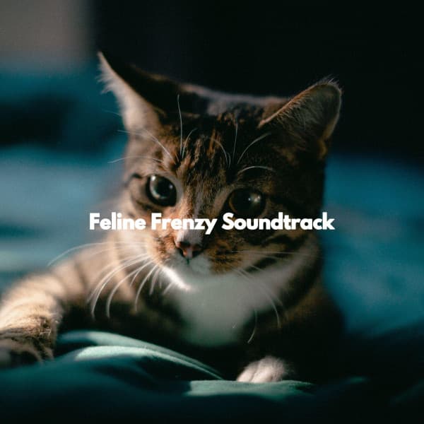 Feline Frenzy Soundtrack - Frühstück Jazz