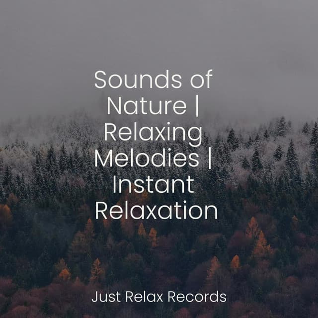 Sounds of Nature | Relaxing Melodies | Instant Relaxation - Children's Music