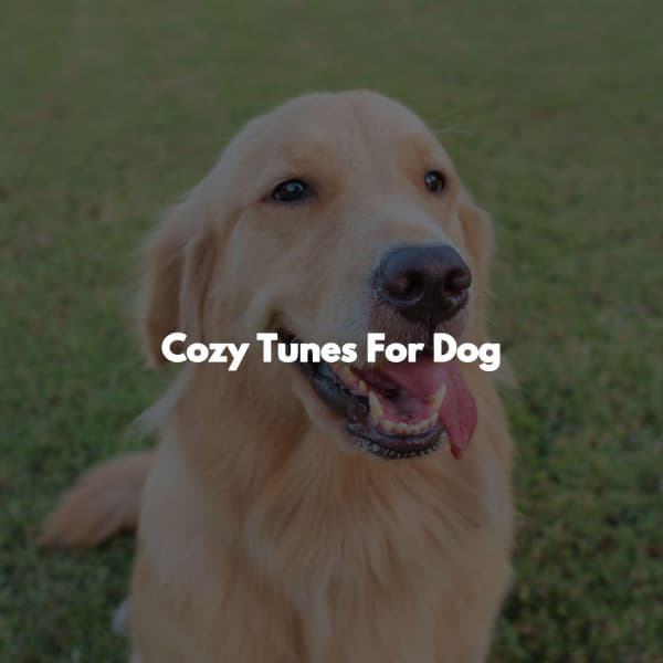 Cozy Tunes For Dog - Súper Música de Elevador