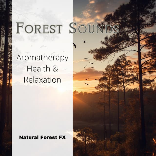 Forest Sounds - Aromatherapy, Health & Relaxation - Natural Forest FX