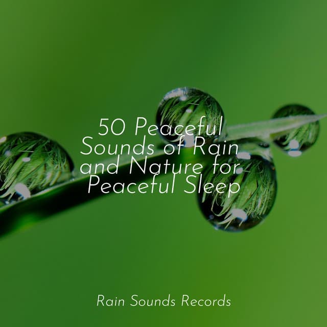 50 Peaceful Sounds of Rain and Nature for Peaceful Sleep - Natureza