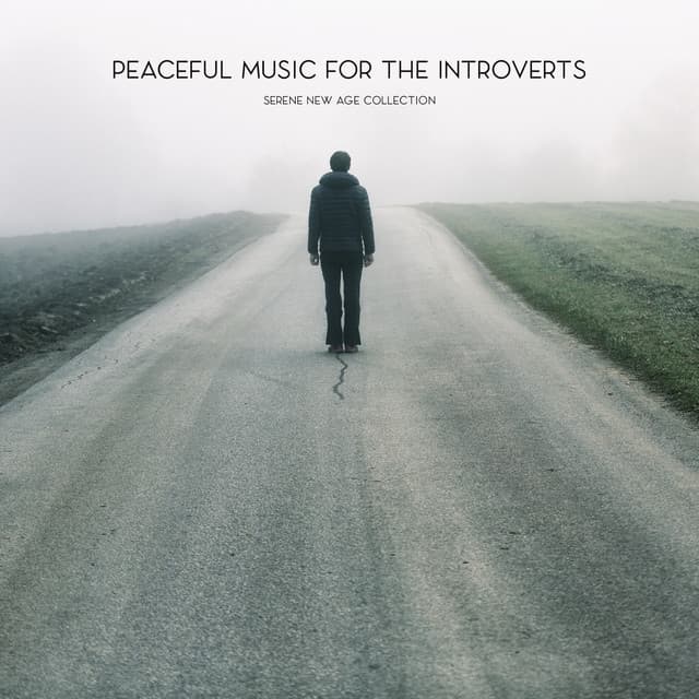 Peaceful Music for the Introverts: Serene New Age Collection for Relaxing Alone and Being with Yourself - Odyssey for Relax Music Universe