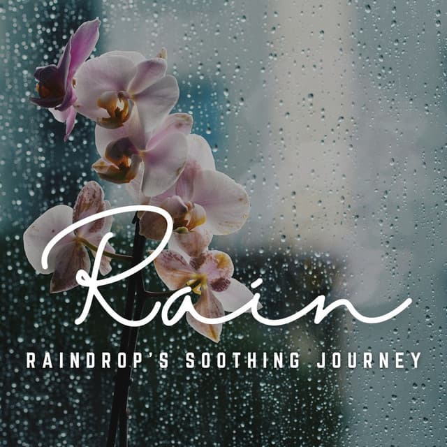Relaxation Rainfall: A Journey to Inner Calm - Calming Sounds
