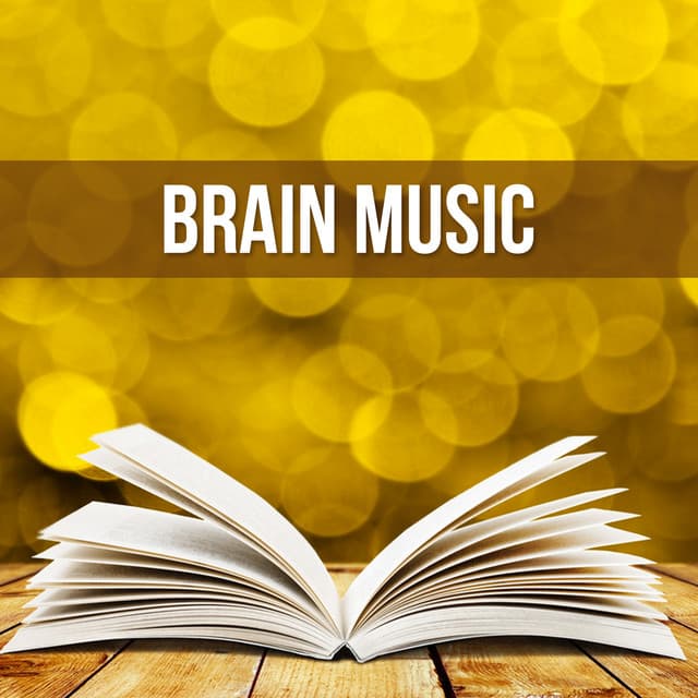 Easy Learning – Serenity Sounds for Total Relaxation, Deep Focus, Reading, Instrumental - Relaxed Piano Music