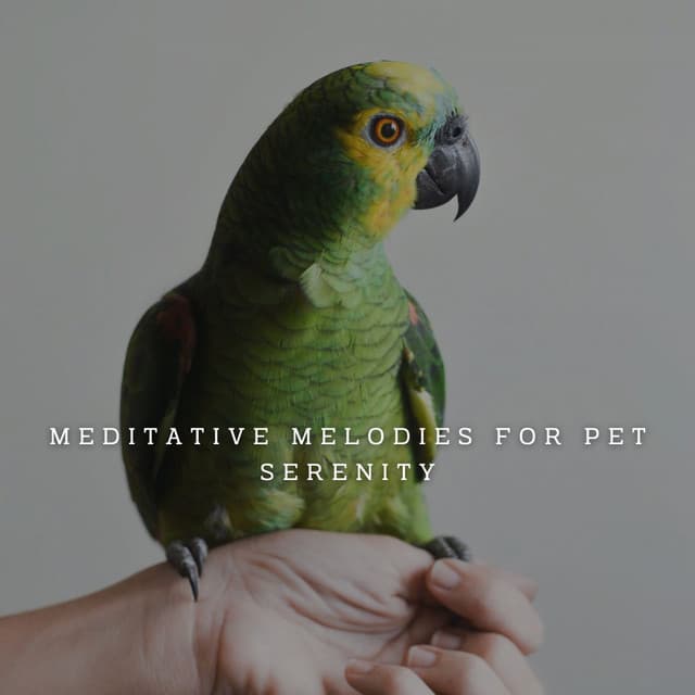 Piano Paws: Meditative Melodies for Pet Serenity - Moonlight Sonata