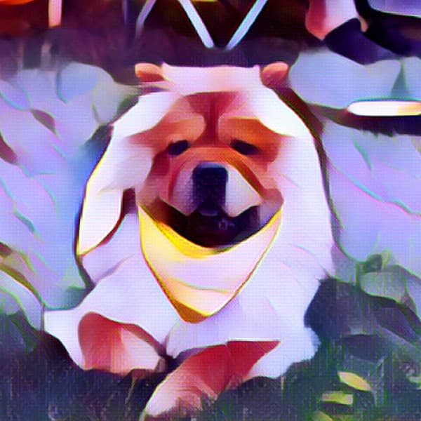 Backdrop for Lazy Hound - Tranquil Jazz Quintet - Calming Jazz For Dogs