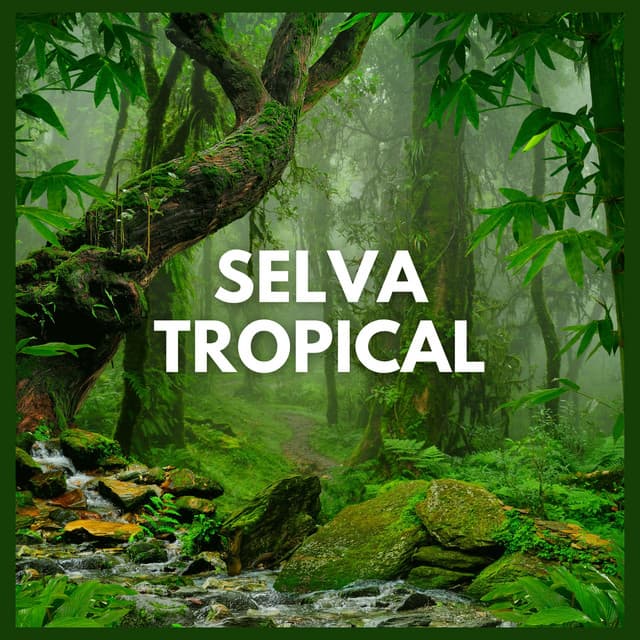 Selva Tropical - Sonidos De La Selva