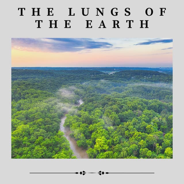 The Lungs of the Earth - Zen Garden Secrets