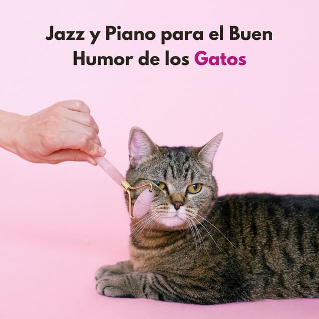 Jazz Y Piano Para El Buen Humor De Los Gatos - Jazz Radio