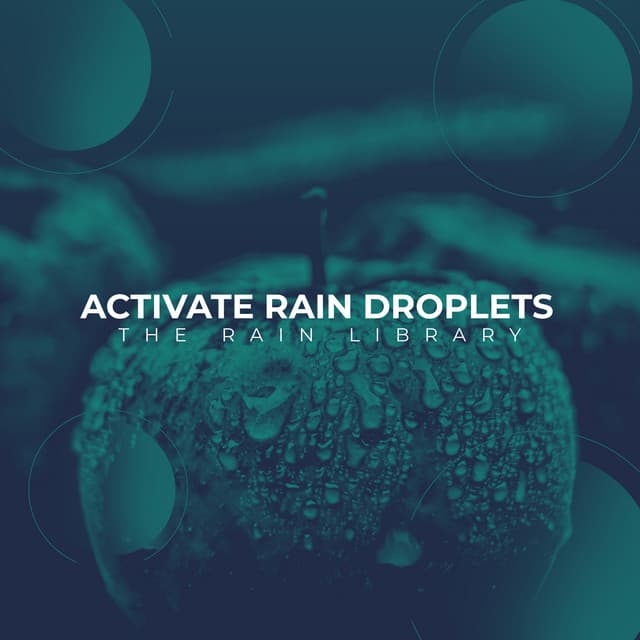 Activate Rain Droplets - The Rain Library