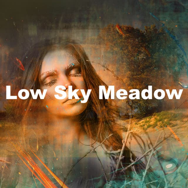Low Sky Meadow - Nature Sounds Nature Music