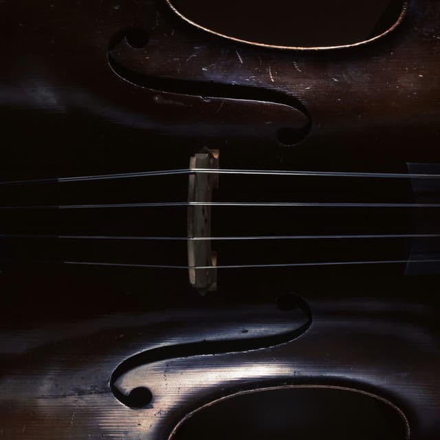 Orchestra for Spa Relaxation and Calm - Jason Humphries