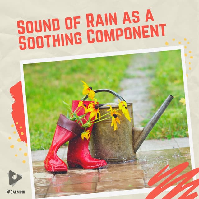 Sound of Rain as a Soothing Component - #Calming