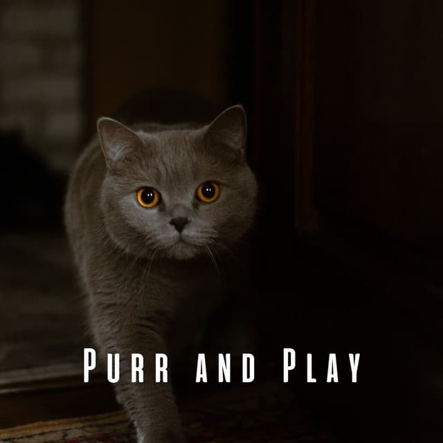 Purr and Play: Upbeat Piano for Playful Cats - Piano Music