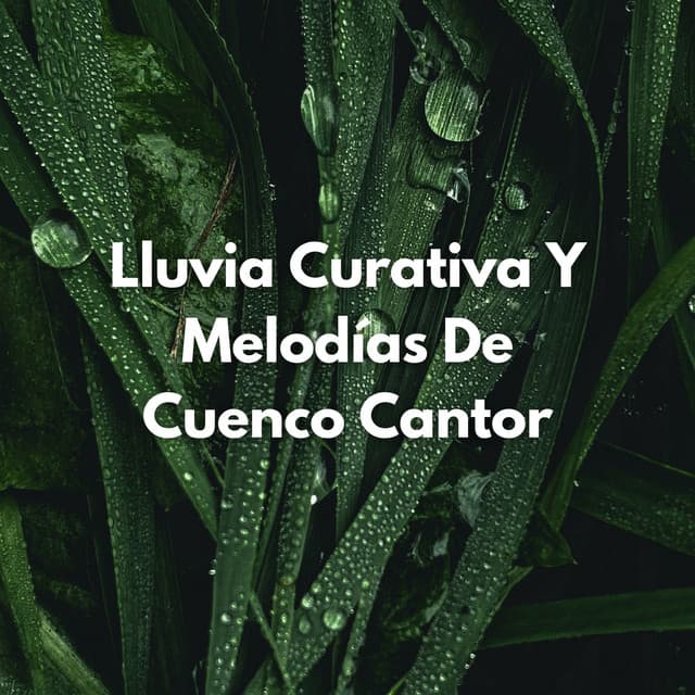 Lluvia Curativa Y Melodías De Cuenco Cantor - Monjes Tibetanos