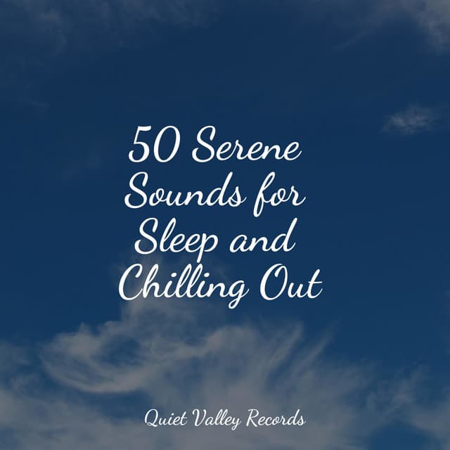 50 Serene Sounds for Sleep and Chilling Out - The Sleep Specialist