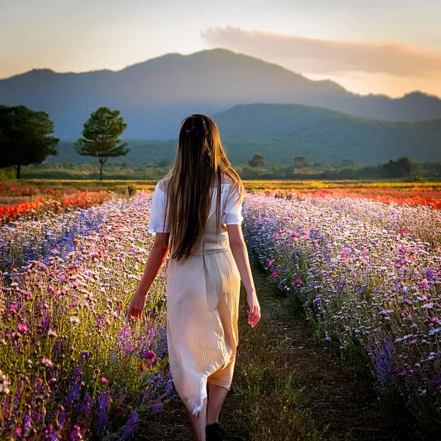 Armonía Relajante: Siente La Tranquilidad - Serenidad musical