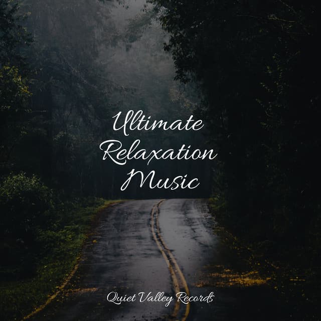 Ultimate Relaxation Music - Academia de Musica para Massagem Relaxamento