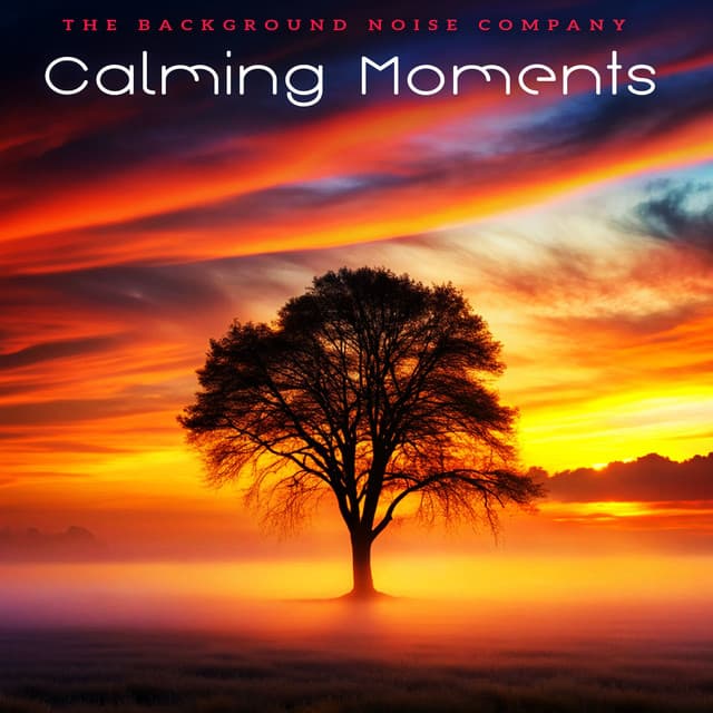 Calming Moments - The Background Noise Company