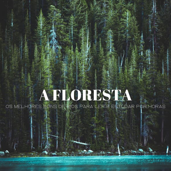 A Floresta: Os Melhores Sons De Rios Para Ler E Estudar Por Horas - 1 Hora de Meditação