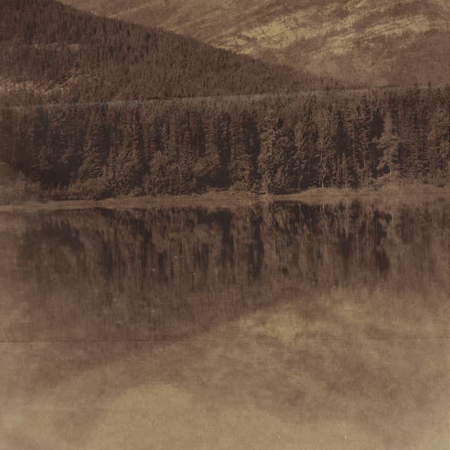 Meditative Tides: River of Clarity and Mindfulness - Meditation Muse