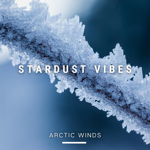 Arctic Winds - Stardust Vibes