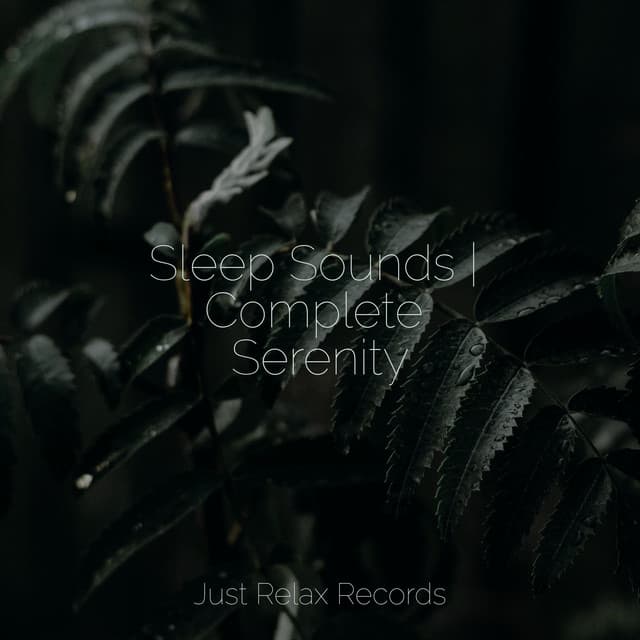 Sleep Sounds | Complete Serenity - Dog Music