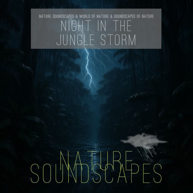 Night in the Jungle Storm - Nature Soundscapes