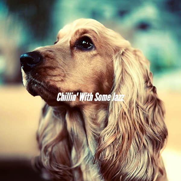 Chillin' With Some Jazz - Songs for Dogs to Sleep To