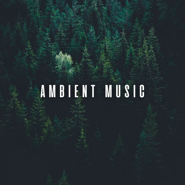 Ambient Music: Chill Bird Tunes for Deep Relaxation - Anxiety Relief Group