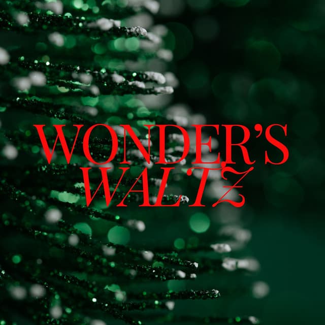 Wonder's Waltz: Christmas Piano - The Christmas Guys