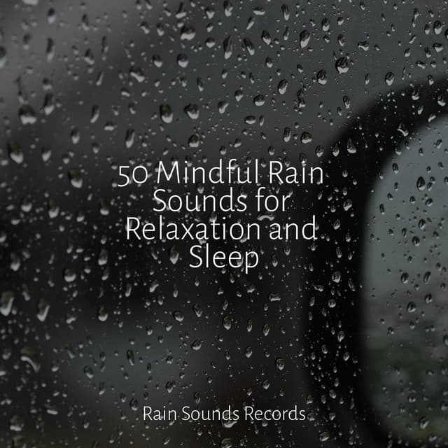 50 Mindful Rain Sounds for Relaxation and Sleep - Ocean Waves For Sleep