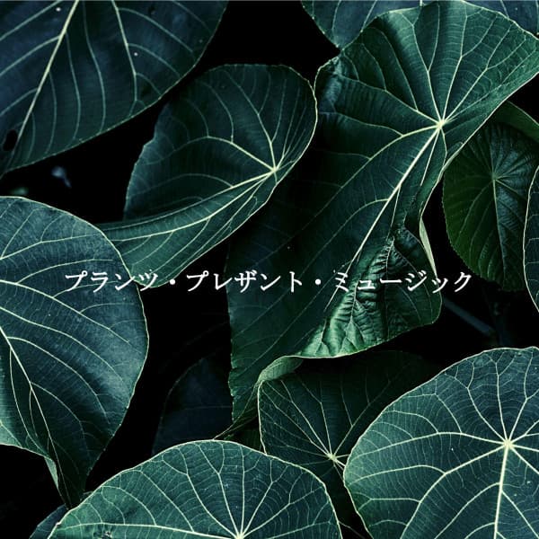 プランツ・プレザント・ミュージック - Music for Focus