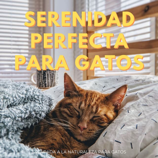 Serenidad Perfecta Para Gatos: Escapada A La Naturaleza Para Gatos - Resplandor de la naturaleza