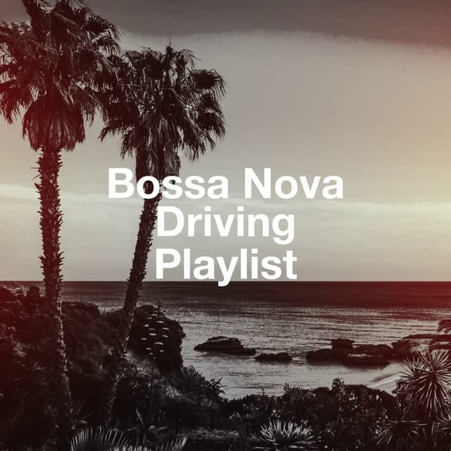 Bossa Nova Driving Playlist - The Cocktail Lounge Players