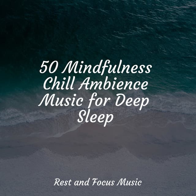 50 Mindfulness Chill Ambience Music for Deep Sleep - Study Zone