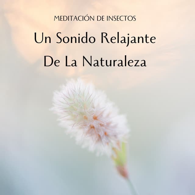 Meditación De Insectos: Un Sonido Relajante De La Naturaleza - Grabaciones de campo de la naturaleza