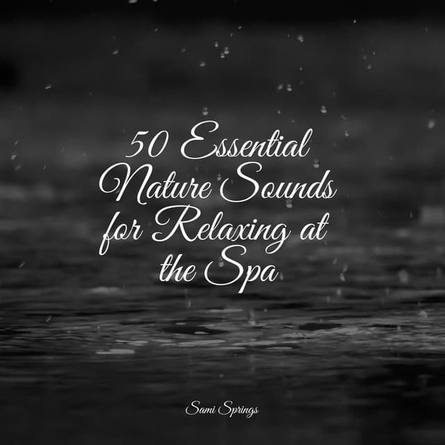 50 Essential Nature Sounds for Relaxing at the Spa - Meditação Maestro