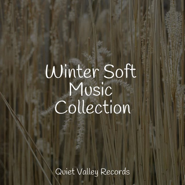 Winter Soft Music Collection - Sleeping Music